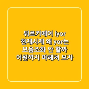 튀르키예어 iyor 현재시제 왜 yor는 모음조화 안 할까 어원까지 파헤쳐 보자