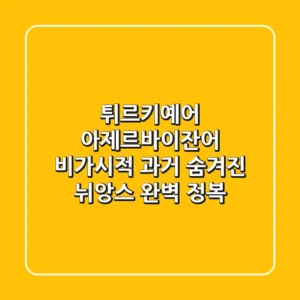 튀르키예어 아제르바이잔어 비가시적 과거 숨겨진 뉘앙스 완벽 정복