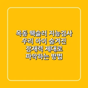 목동 웩슬러 지능검사: 우리 아이 숨겨진 잠재력, 제대로 파악하는 방법