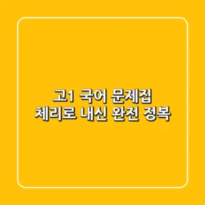 고1 국어 문제집, 체리로 내신 완전 정복!