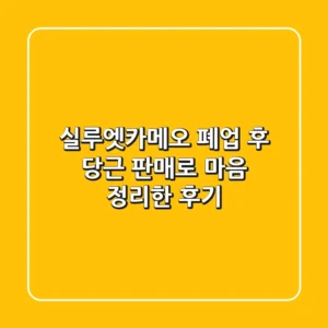 실루엣카메오, 폐업 후 당근 판매로 마음 정리한 후기