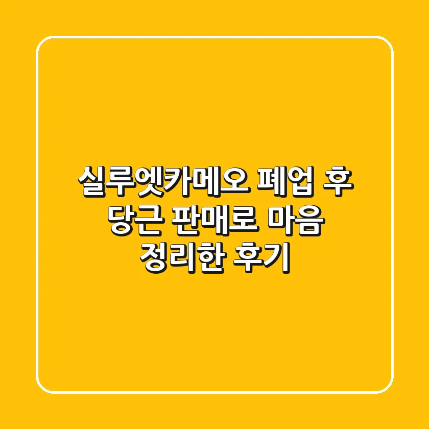 실루엣카메오, 폐업 후 당근 판매로 마음 정리한 후기