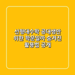 선형대수학, 공대생만 위한 학문일까? 숨겨진 활용법 공개