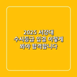 2025 서강대 수시등급, 입결? 이렇게 봐야 합격합니다!