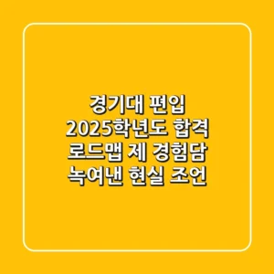 경기대 편입, 2025학년도 합격 로드맵: 제 경험담 녹여낸 현실 조언!