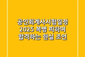 공인회계사시험일정 2025, 복병 피하며 합격하는 현실 조언