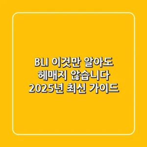 BLI, 이것만 알아도 헤매지 않습니다: 2025년 최신 가이드