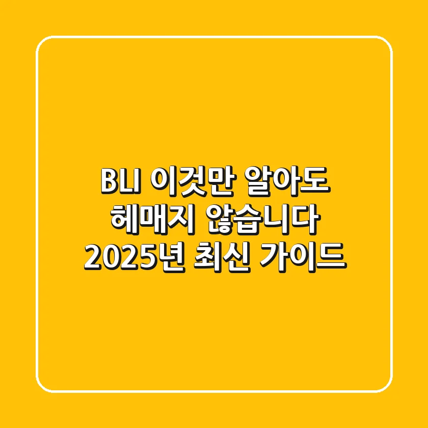 BLI, 이것만 알아도 헤매지 않습니다: 2025년 최신 가이드
