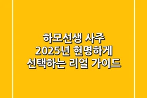 하모선생 사주, 2025년 현명하게 선택하는 리얼 가이드