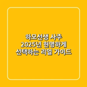 하모선생 사주, 2025년 현명하게 선택하는 리얼 가이드