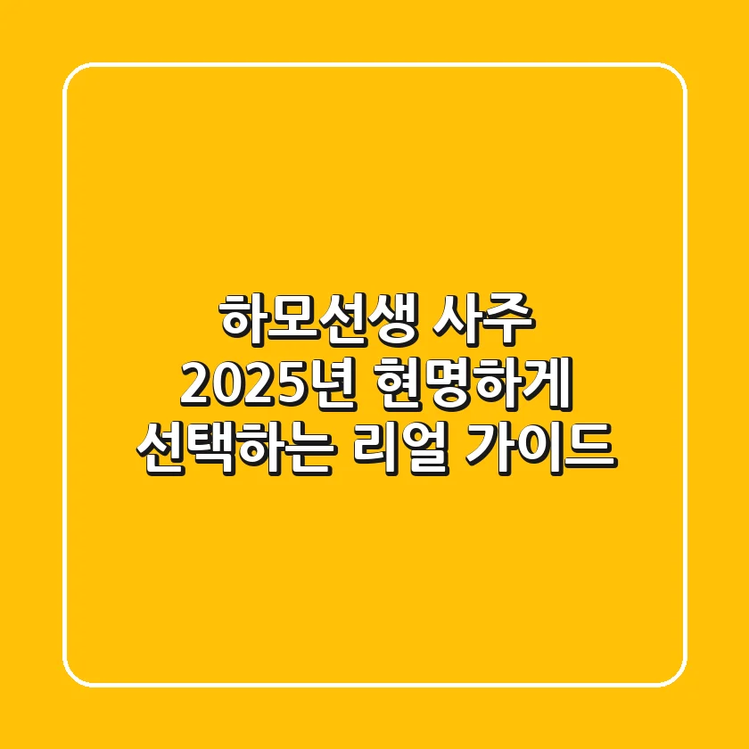 하모선생 사주, 2025년 현명하게 선택하는 리얼 가이드