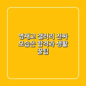 영재고 갤러리, 진짜 모습은? 합격과 생활 꿀팁