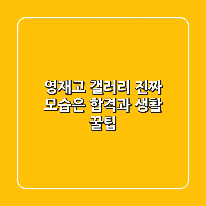 영재고 갤러리, 진짜 모습은? 합격과 생활 꿀팁