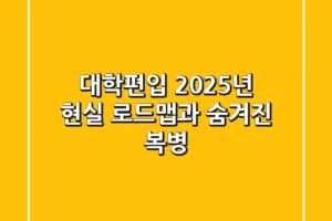 대학편입, 2025년 현실 로드맵과 숨겨진 복병