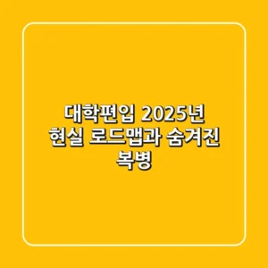 대학편입, 2025년 현실 로드맵과 숨겨진 복병