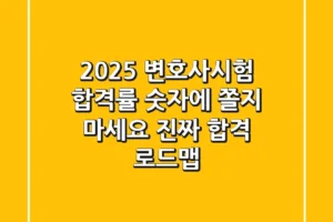 2025 변호사시험, 합격률 숫자에 쫄지 마세요! 진짜 합격 로드맵