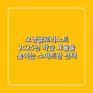 모닝글로리노트: 2025년 학습 효율을 높이는 스마트한 선택