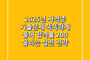 2025년 자격증 기출문제, 똑똑하게 풀어 합격률 200% 올리는 실전 전략