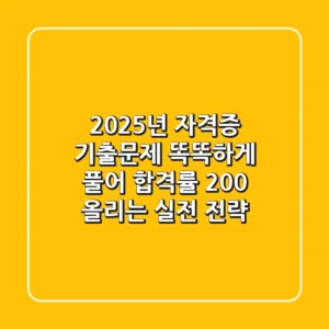 2025년 자격증 기출문제, 똑똑하게 풀어 합격률 200% 올리는 실전 전략