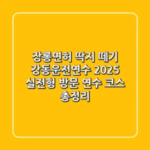 "장롱면허 딱지 떼기", 강동운전연수, 2025 실전형 방문 연수 코스 총정리